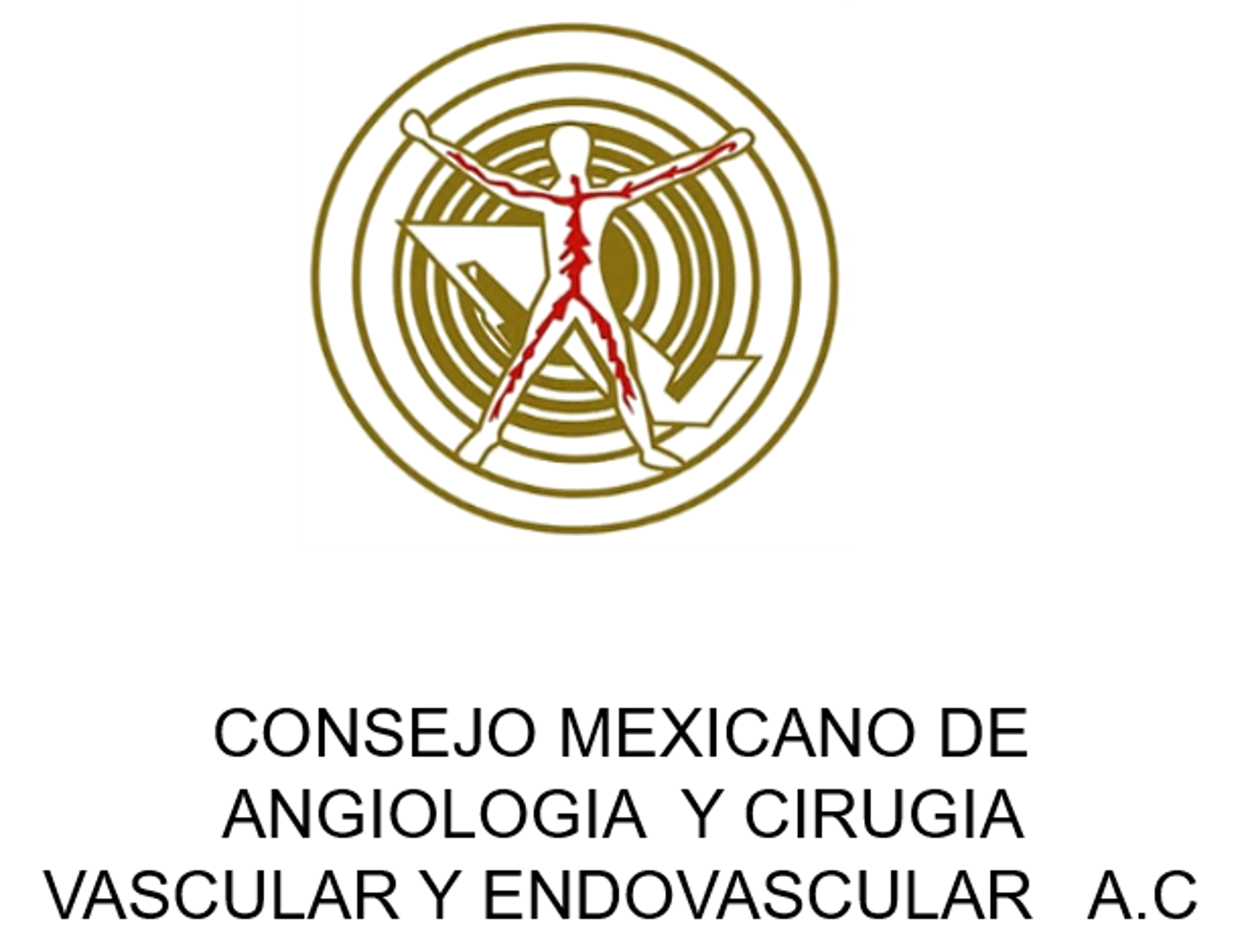 Consejo Mexicano de Angiología, Cirugía Vascular y Endovascular, A. C 2
